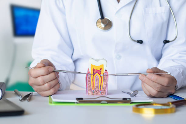 Best Emergency Root Canal Treatment in Battle Ground, WA